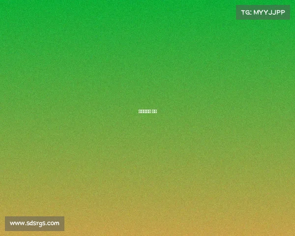 虹口足球场 比赛